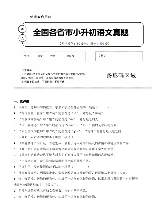 【小升初】2020年河南省许昌市小升初语文毕业会考试题含答案(全网唯一)