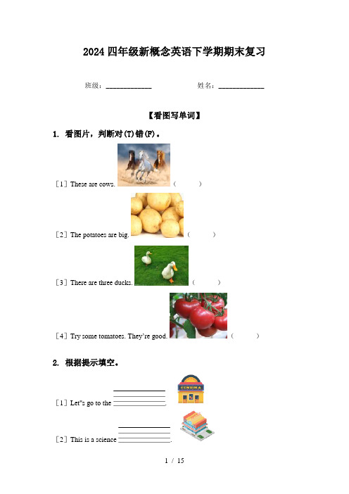 2024四年级新概念英语下学期期末复习