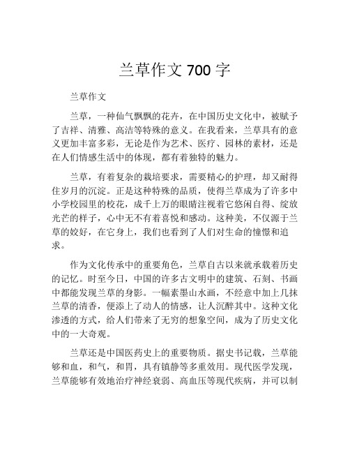 兰草作文700字