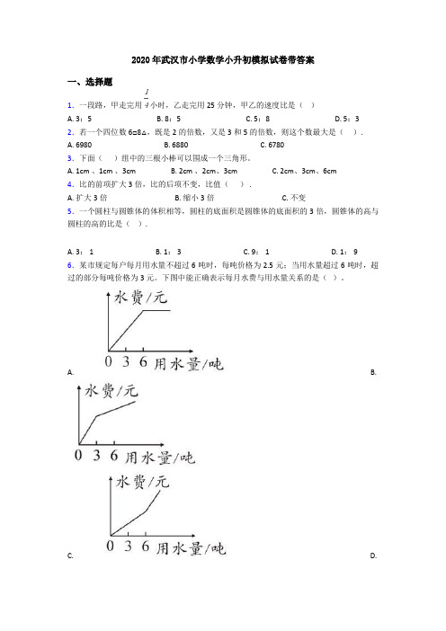 2020年武汉市小学数学小升初模拟试卷带答案