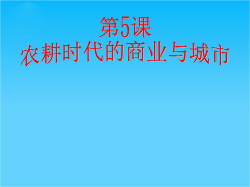 广东省佛山市中大附中三水实验中学高三历史复习课件《第5课 农耕时代的商业与城市》