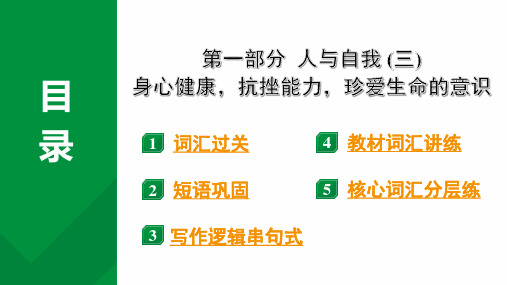 2024中考英语二轮复习第一部分人与自我(三)身心健康,抗挫能力,珍爱生命的意识(课件)