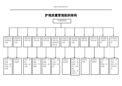 [新版]护理质量管理组织架构图.doc