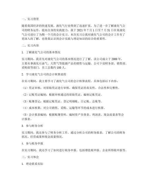 液化气公司会计实习报告