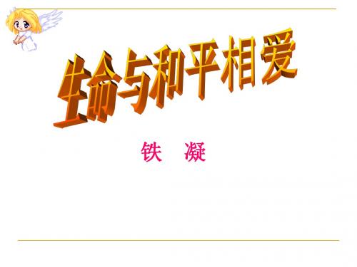 6生命与和平相爱-六、生命与和平相爱课件