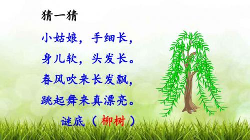 部编版·统编教材人教版小学二年级语文下册《咏柳》优质课 ppt课件