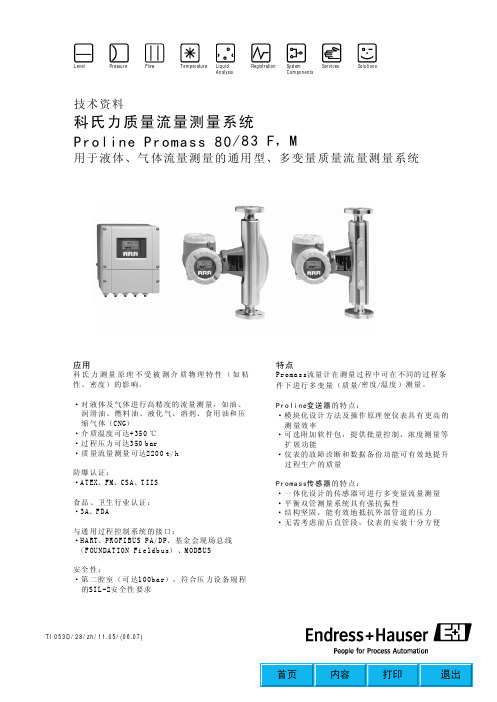 E+H质量流量计80或83F&M