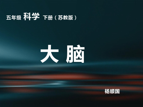 小学科学_苏教2001课标版_五年级下册_五单元 人体的“司令部” _ 1 大脑 (1)