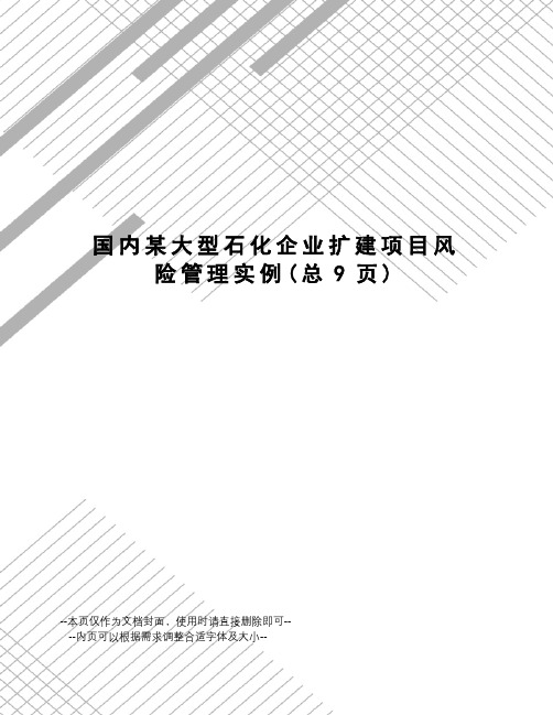 国内某大型石化企业扩建项目风险管理实例