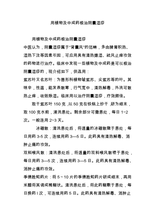 用植物及中成药根治阴囊湿疹