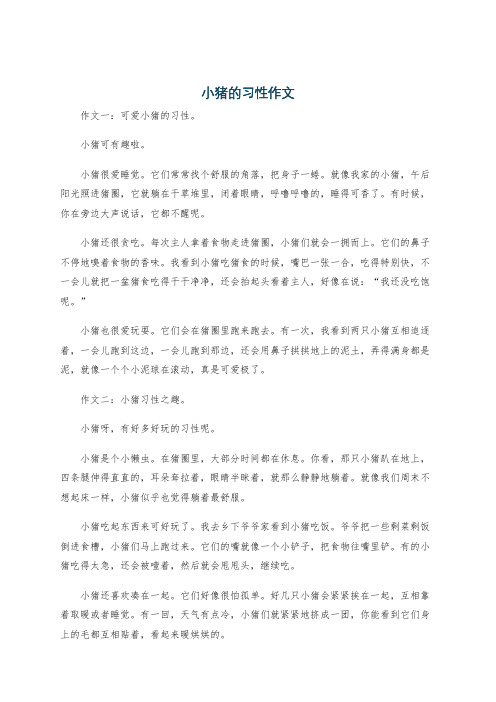 小猪的习性作文