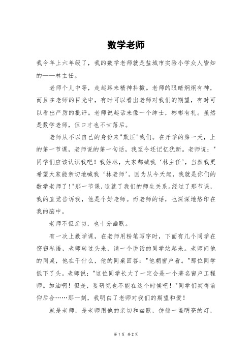 数学老师_五年级作文