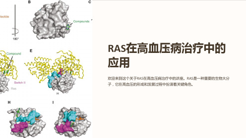 RAS在高血压病治疗中的应用