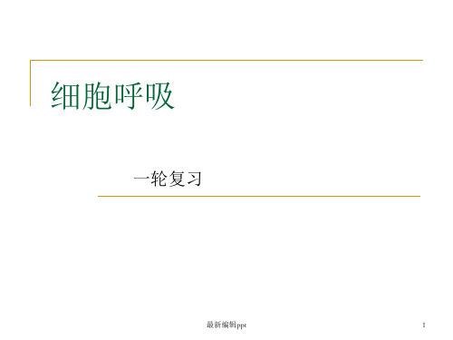 细胞呼吸一轮复习ppt课件