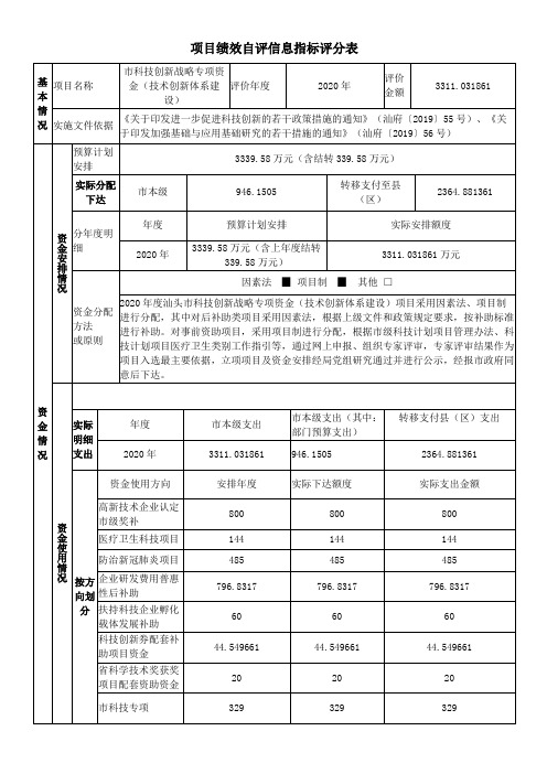 项目绩效自评信息指标评分表【模板】