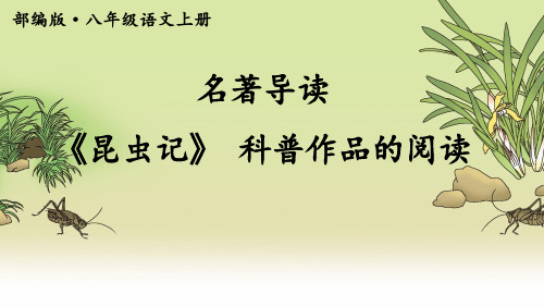 部编八年级语文上册-名著导读《昆虫记》 科普作品的阅读(附习题)