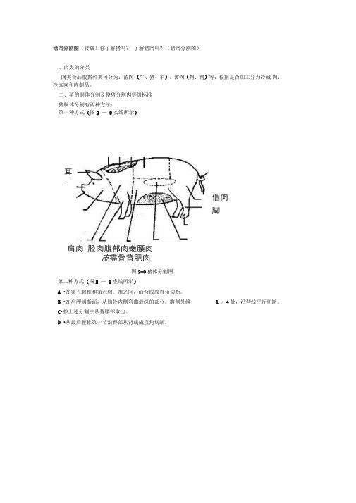 猪肉分割图