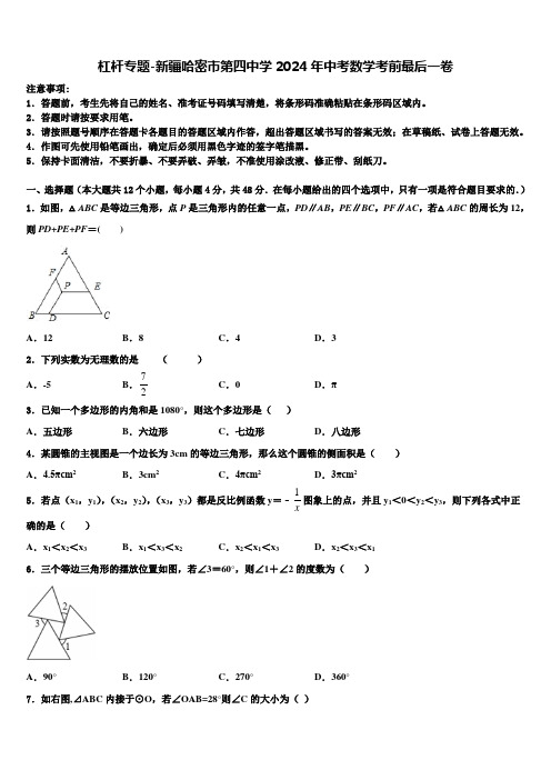 杠杆专题-新疆哈密市第四中学2024届中考数学考前最后一卷含解析