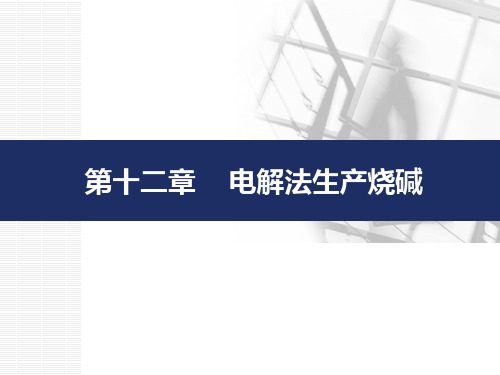 第十二章电解法生产烧碱