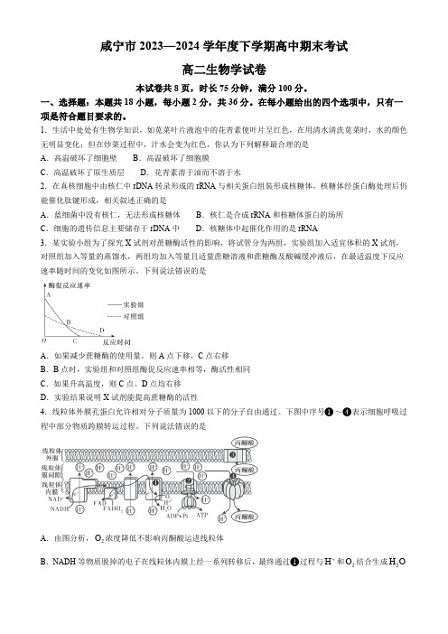 湖北省咸宁市2023-2024学年高二下学期期末考试生物试题(含答案)