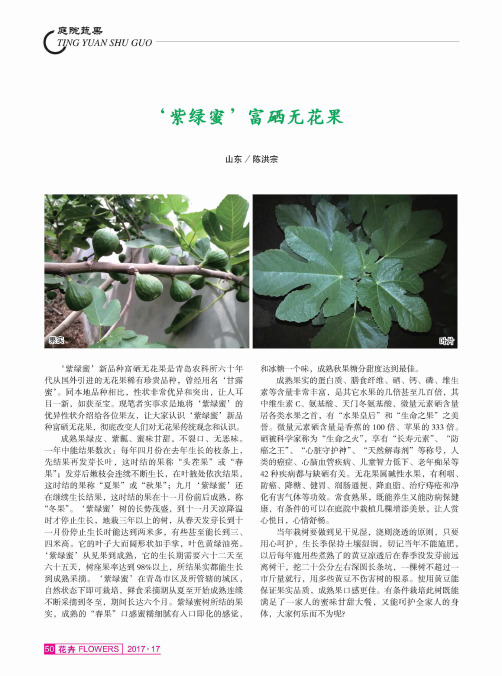 ‘紫绿蜜’富硒无花果