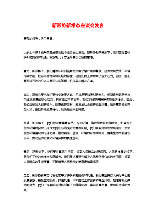 新形势新常态座谈会发言