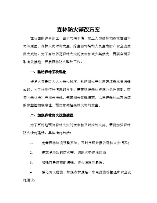 森林防火整改方案