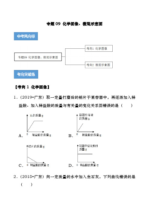 专题09 化学图像、微观示意图-2020年中考化学考前冲刺提分训练(广东专用)(原卷版)