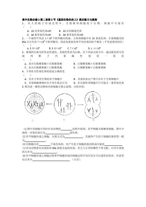 高中生物必修2第二章第2节《基因在染色体上》课后练习与提高