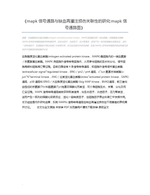 mapk信号通路与缺血再灌注损伤关联性的研究mapk信号通路图