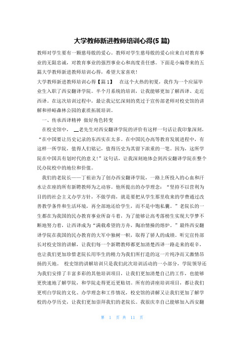 大学教师新进教师培训心得(5篇)