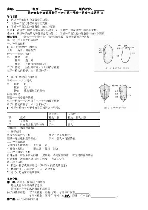 北师大版七年级生物上册第六章绿色开花植物的生活史导学案