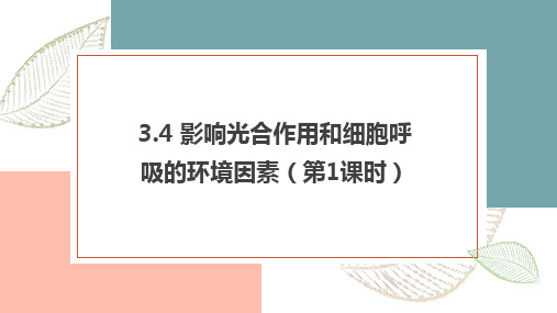 影响光合作用和细胞呼吸的环境因素 第1课时 课件(共22张PPT) (2024)高一生物苏教版必修1