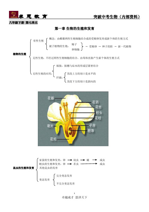 生物的生殖和发育 课件