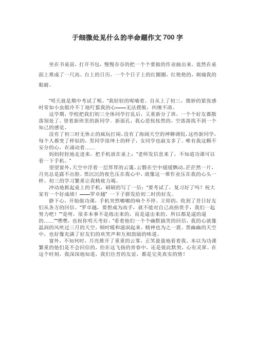 于细微处见什么的半命题作文700字