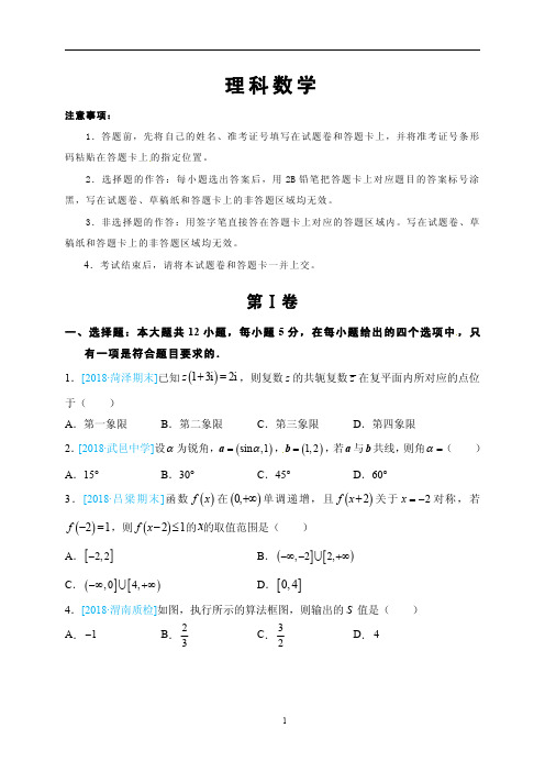 人大附中2018届高三模拟考试理科数学试题