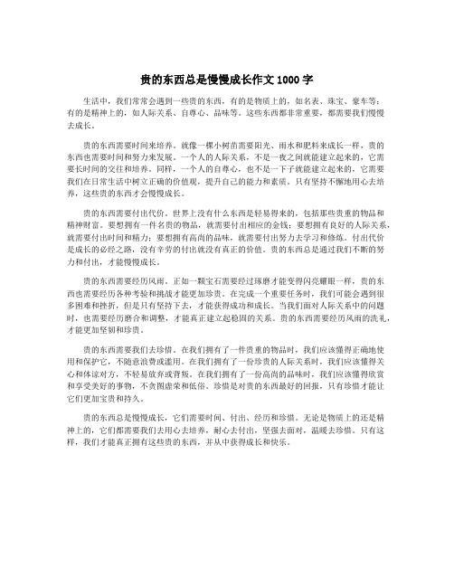 贵的东西总是慢慢成长作文1000字