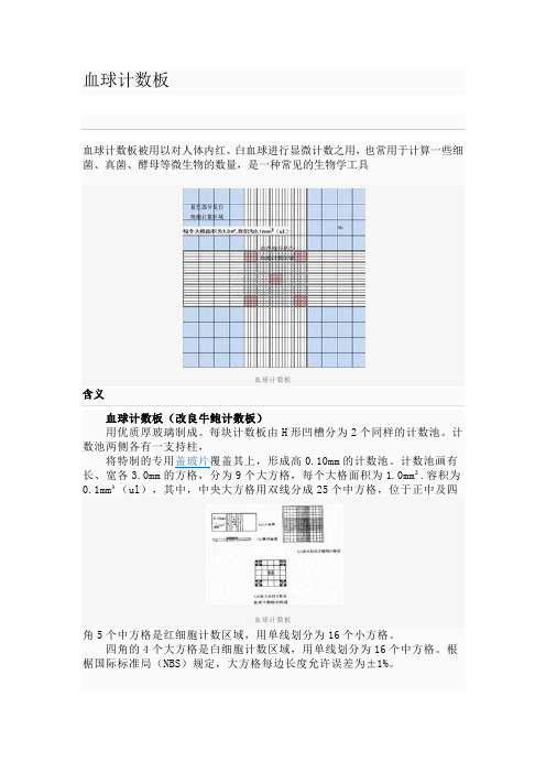 血球计数板使用