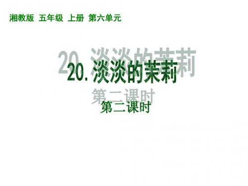 五年级语文淡淡的茉莉