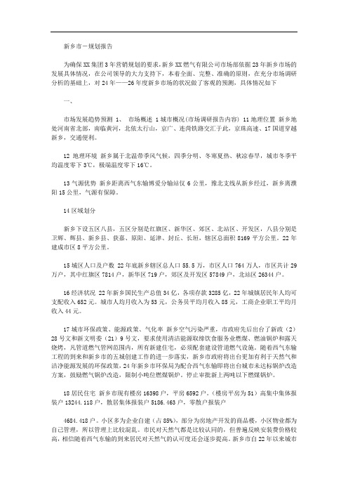 2020年新乡市-规划报告