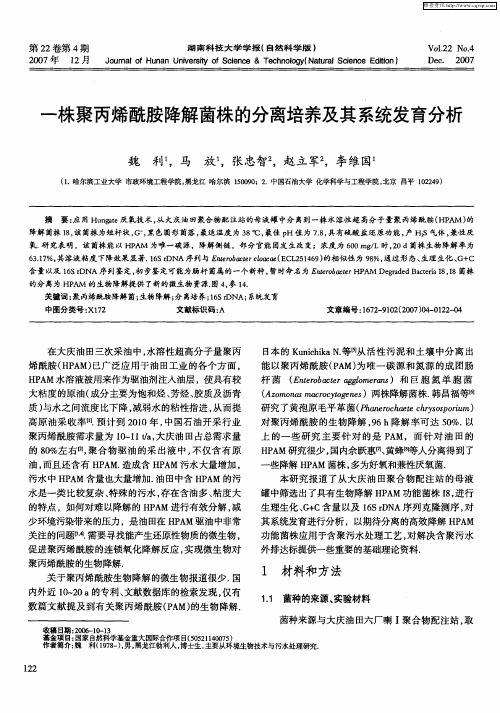 一株聚丙烯酰胺降解菌株的分离培养及其系统发育分析