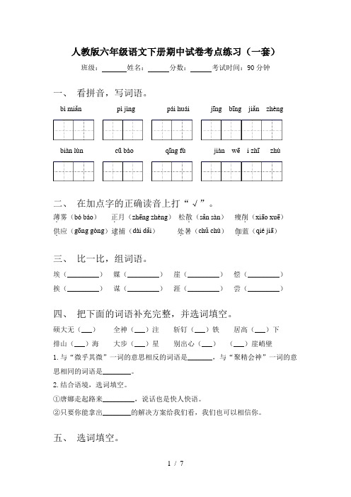 人教版六年级语文下册期中试卷考点练习(一套)