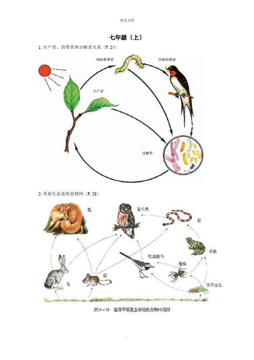 初中生物课本上的图