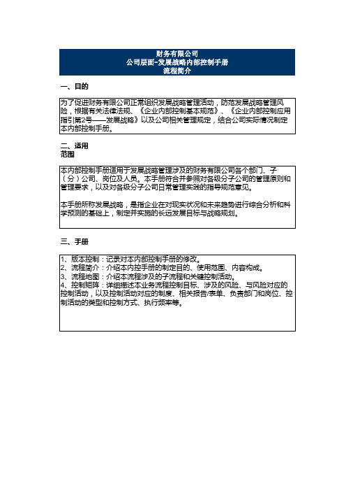 2.财务有限公司内控手册_控制矩阵_ 公司层面控制-发展战略