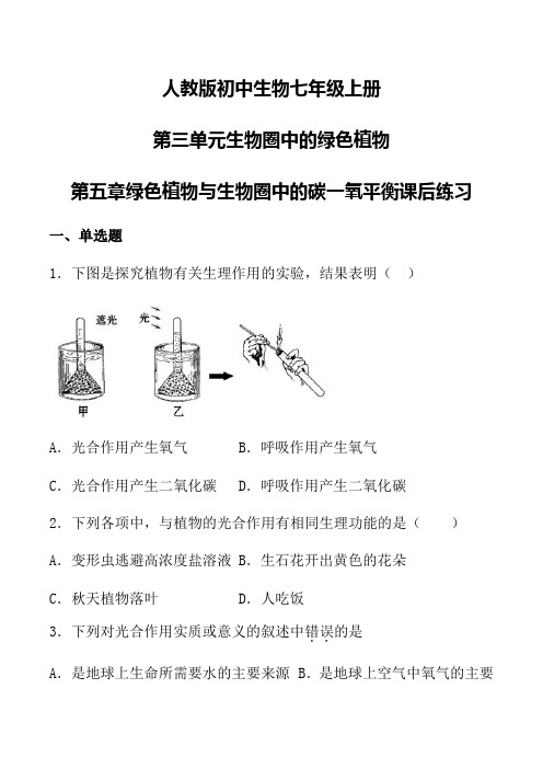 人教版初中生物七年级上册第三单元生物圈中的绿色植物第五章绿色植物与生物圈中的碳一氧平衡课后练习