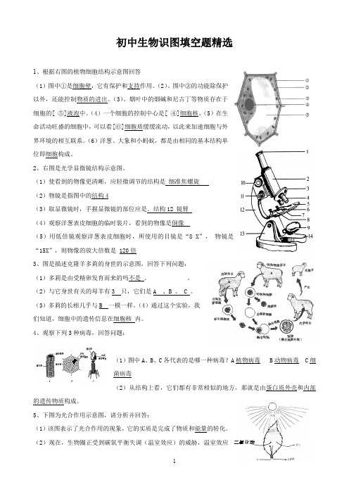 初中生物识图填空题精选