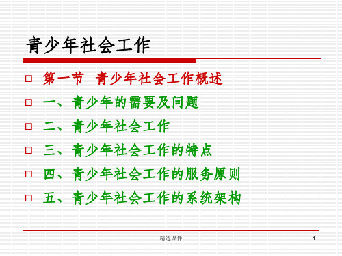 社会工作实务青少年社会工作ppt课件