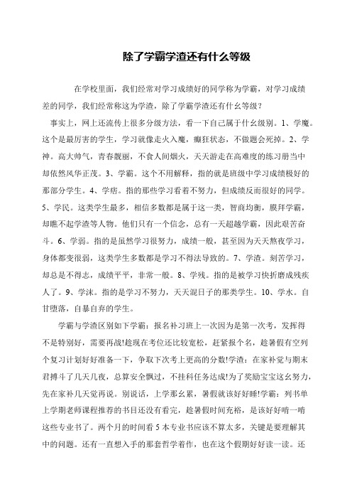 除了学霸学渣还有什么等级