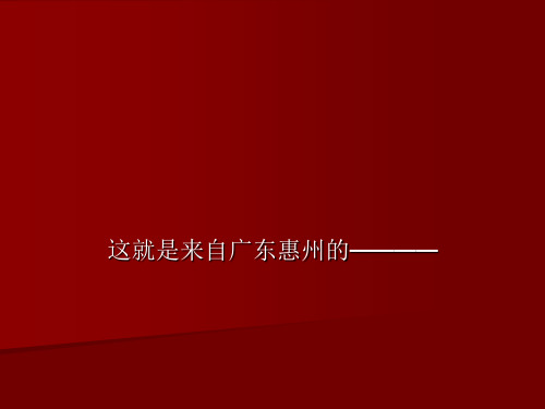 这就是来自广东惠州的————