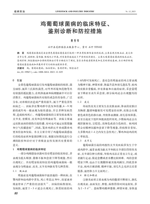 鸡葡萄球菌病的临床特征、鉴别诊断和防控措施